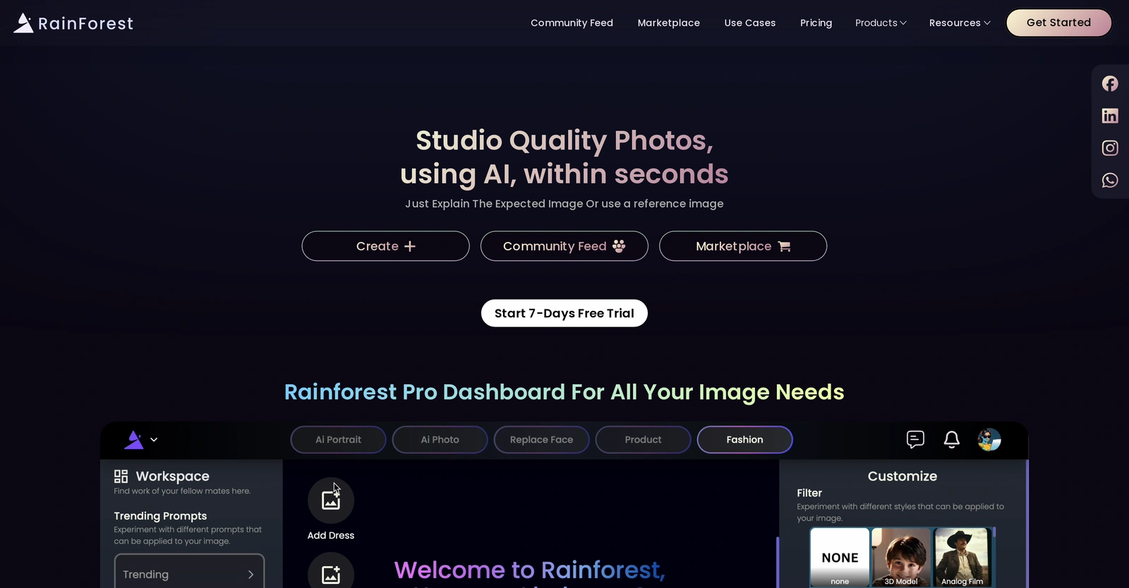 Rainforest-zone