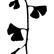 The-Clueless_logo
