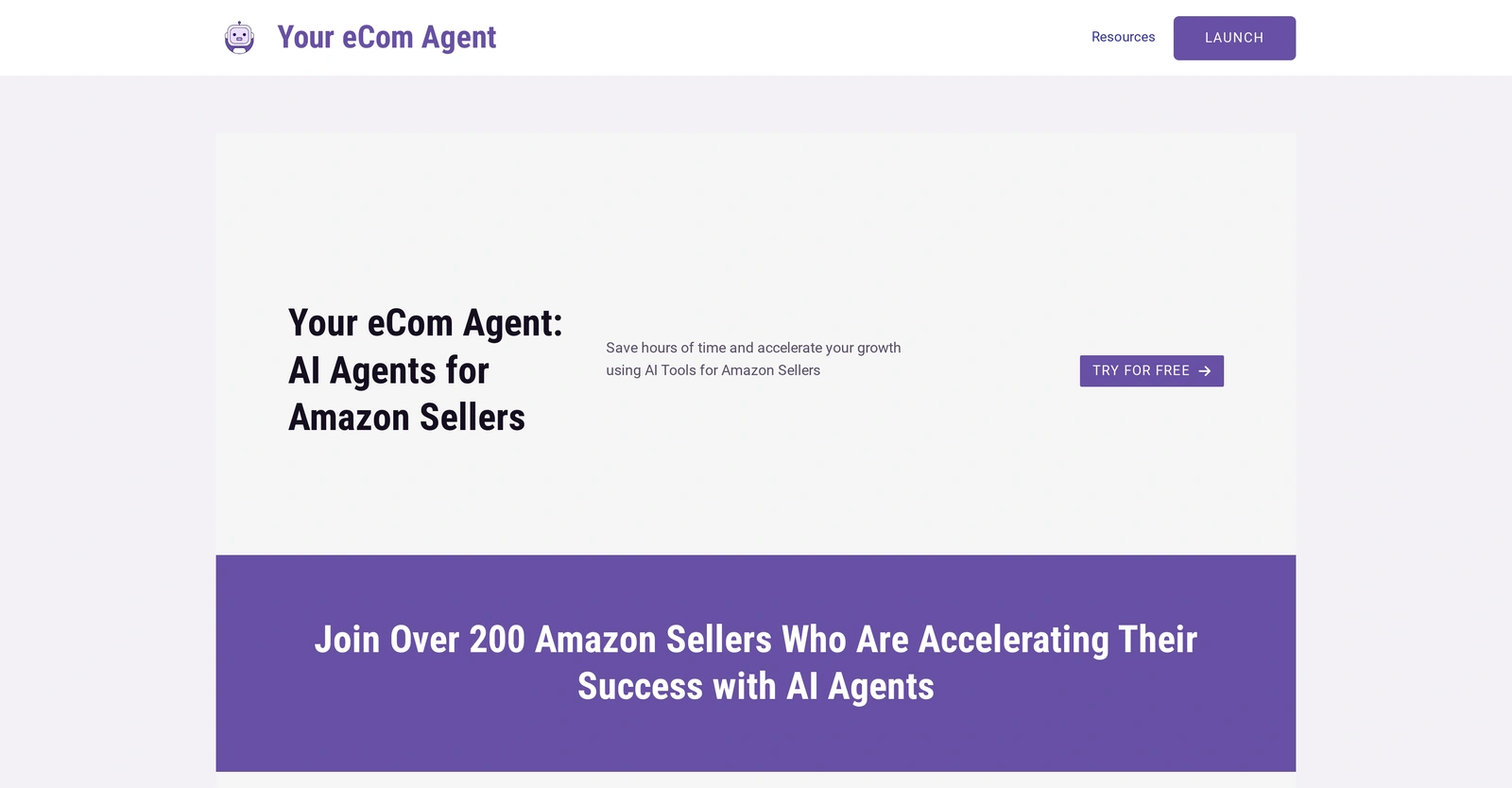 Your-eCom-Agent
